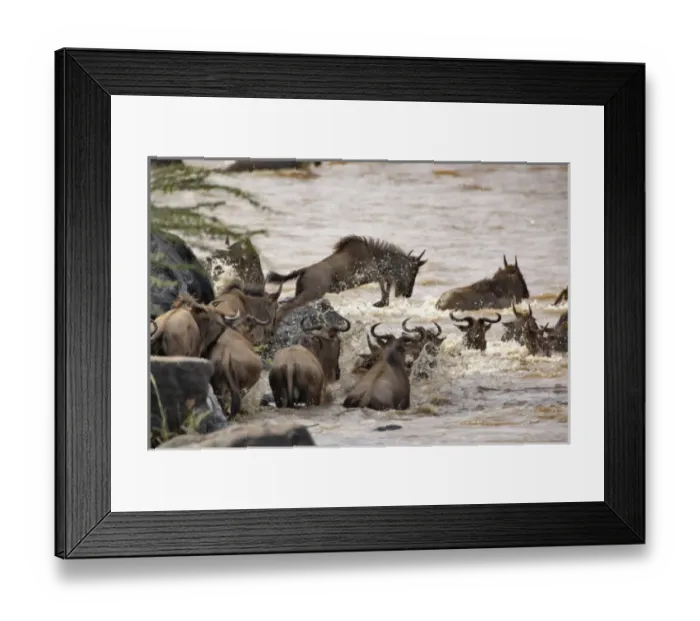 Framed Print : Africa, Kenya Framed Print : Africa, Kenya