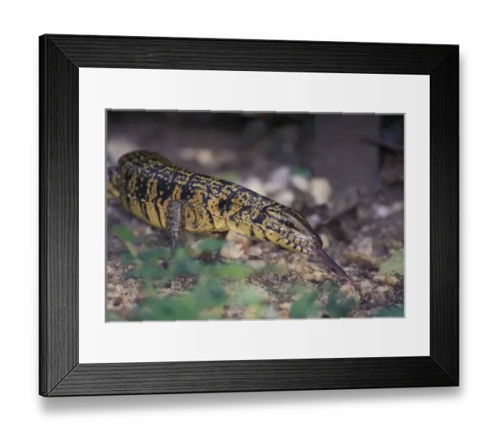 Framed Print : Caribbean, Trinidad Framed Print : Caribbean, Trinidad