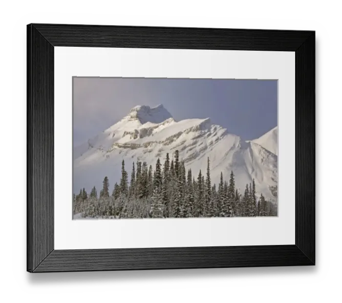 Framed Print : Canada, Alberta, Banff National Park. Summit of Nigel Peak