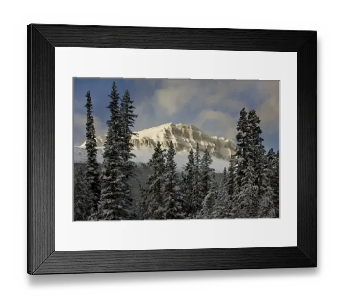 Framed Print : Canada, Alberta, Banff National Park. Sunshine on Bow Peak after a snowstorm Framed Print : Canada, Alberta, Banff National Park. Sunshine on Bow Peak after a snowstorm
