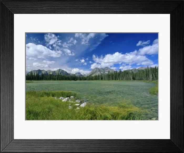 Framed Print : Buller Pond with mount Assiniboine in background in the Kananaskis Country of Alberta Framed Print : Buller Pond with mount Assiniboine in background in the Kananaskis Country of Alberta