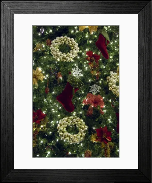 Framed Print : Canada, Alberta