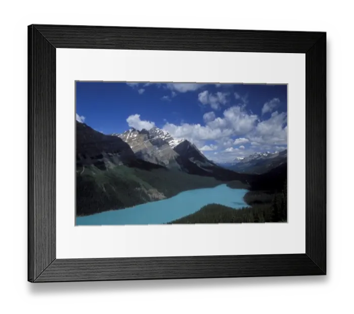 Framed Print : Peyto Lake with its water runoff from Peyto Glacier in Banff National Park, Canada Framed Print : Peyto Lake with its water runoff from Peyto Glacier in Banff National Park, Canada