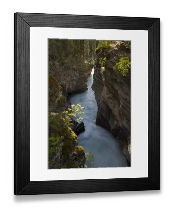 Framed Print : Athabasca River in Jasper National Park, Alberta, Canada Framed Print : Athabasca River in Jasper National Park, Alberta, Canada