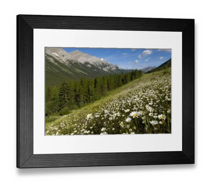 Framed Print : Canada, Alberta Framed Print : Canada, Alberta