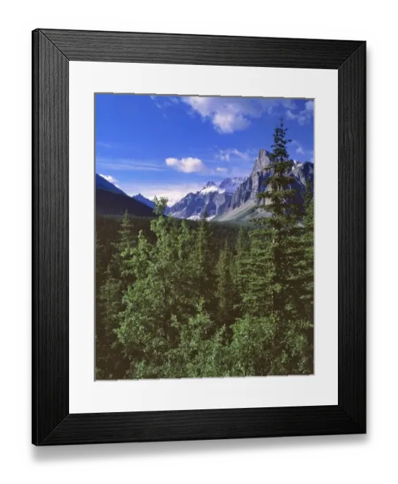Framed Print : Canada, Alberta, Consolation Valley. The Canadian Rockies rise sharply from Consolation Valley