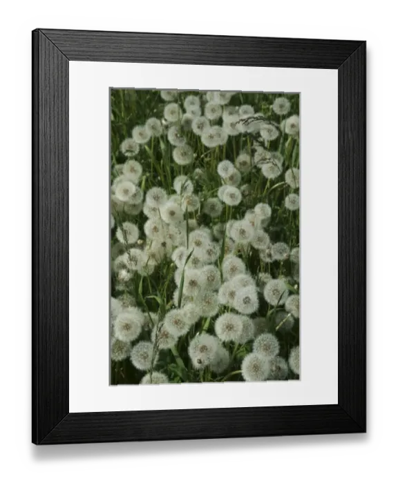 Framed Print : Canada, British Columbia