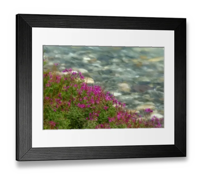 Framed Print : Canada, British Columbia Framed Print : Canada, British Columbia