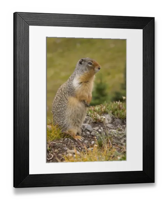 Framed Print : Canada, British Columbia