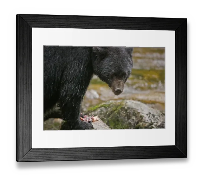 Framed Print : Canada, British Columbia