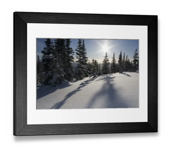 Framed Print : Canada, British Columbia, Smithers. Snow-laden spruce trees cast shadows across sunlit snow