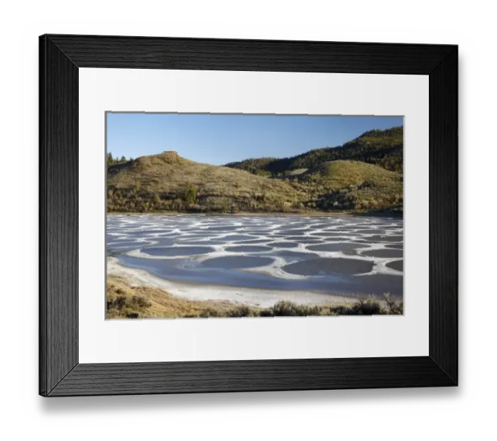 Framed Print : Spotted Lake, Osoyoos, British Columbia, Canada Framed Print : Spotted Lake, Osoyoos, British Columbia, Canada