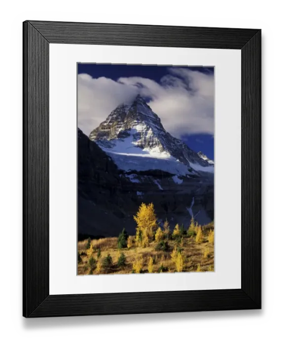 Framed Print : North America, Canada, British Columbia, Mount Assiniboine. Fall colors