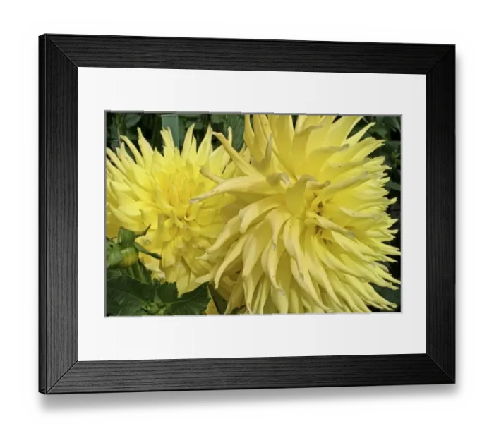 Framed Print : Canada, British Columbia Framed Print : Canada, British Columbia