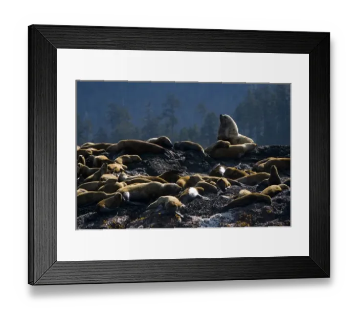 Framed Print : Canada, British Columbia