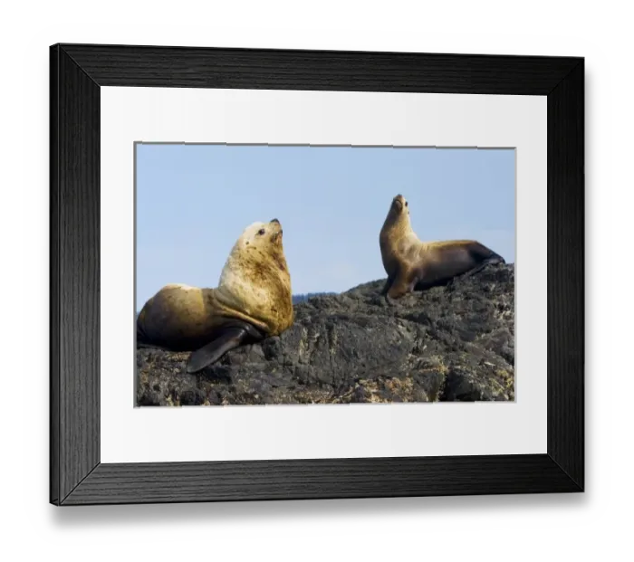 Framed Print : Canada, British Columbia Framed Print : Canada, British Columbia
