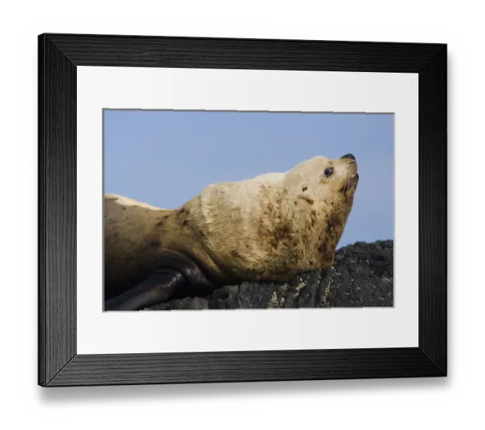 Framed Print : Canada, British Columbia