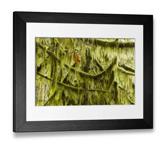 Framed Print : Canada, British Columbia Framed Print : Canada, British Columbia