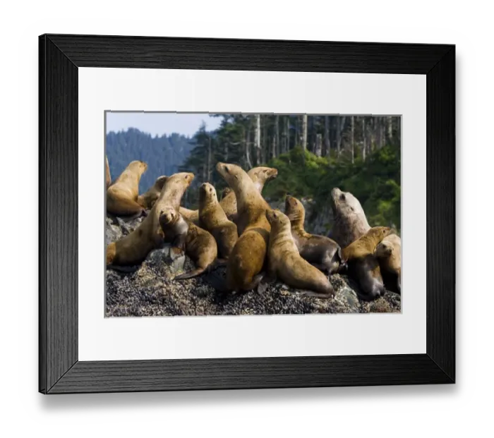 Framed Print : Canada, British Columbia
