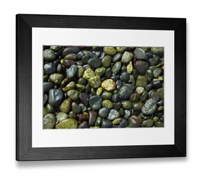 Framed Print : Canada, British Columbia Framed Print : Canada, British Columbia