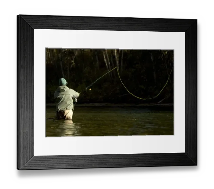 Framed Print : Sport fisherman fly fishing for steelhead trout in the Bulkley River, Kispiox Valley Framed Print : Sport fisherman fly fishing for steelhead trout in the Bulkley River, Kispiox Valley