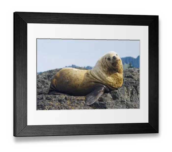 Framed Print : Canada, British Columbia Framed Print : Canada, British Columbia