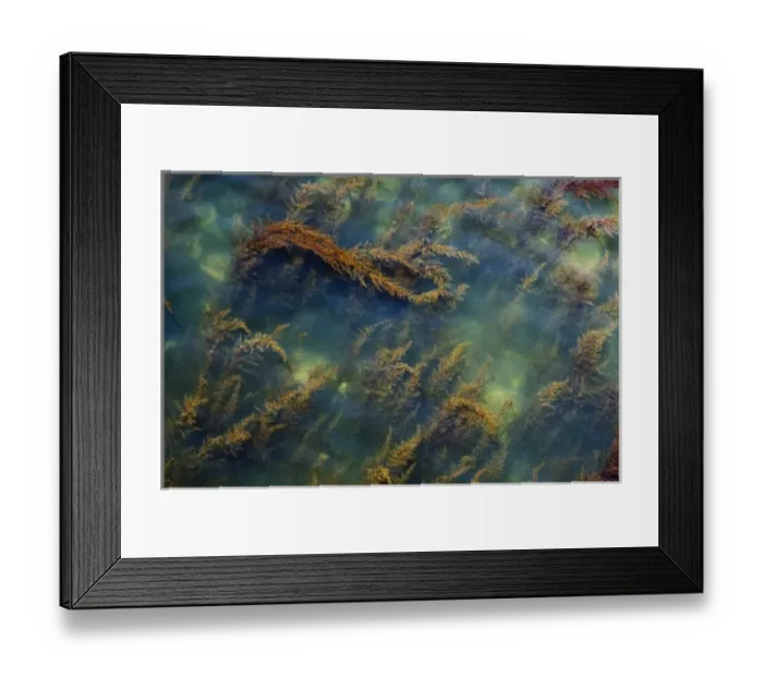 Framed Print : Canada, British Columbia