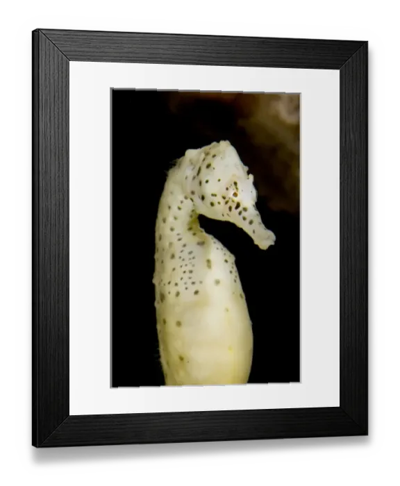 Framed Print : Canada, British Columbia Framed Print : Canada, British Columbia