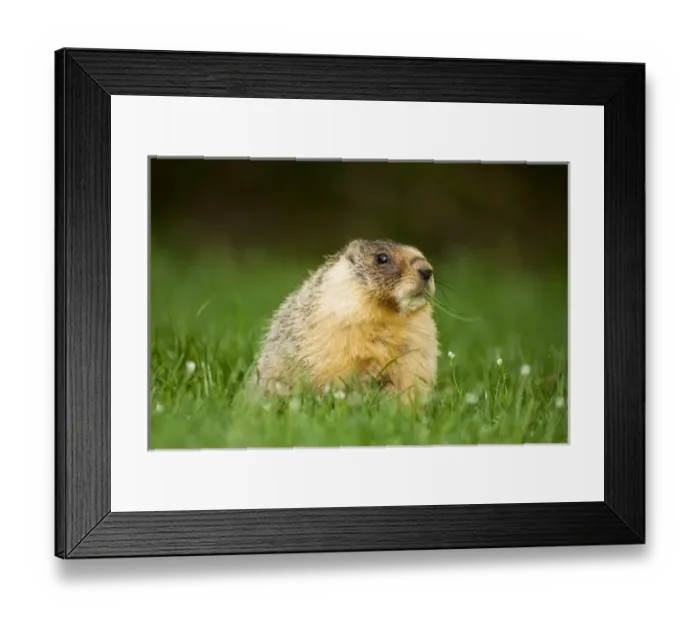 Framed Print : Canada, British Columbia Framed Print : Canada, British Columbia