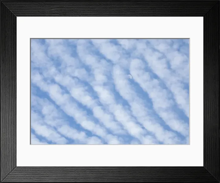 Framed Print : Moon behind cirrocumulus clouds, from Stanley Park, British Columbia Framed Print : Moon behind cirrocumulus clouds, from Stanley Park, British Columbia