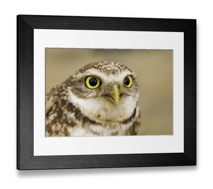 Framed Print : Canada, British Columbia