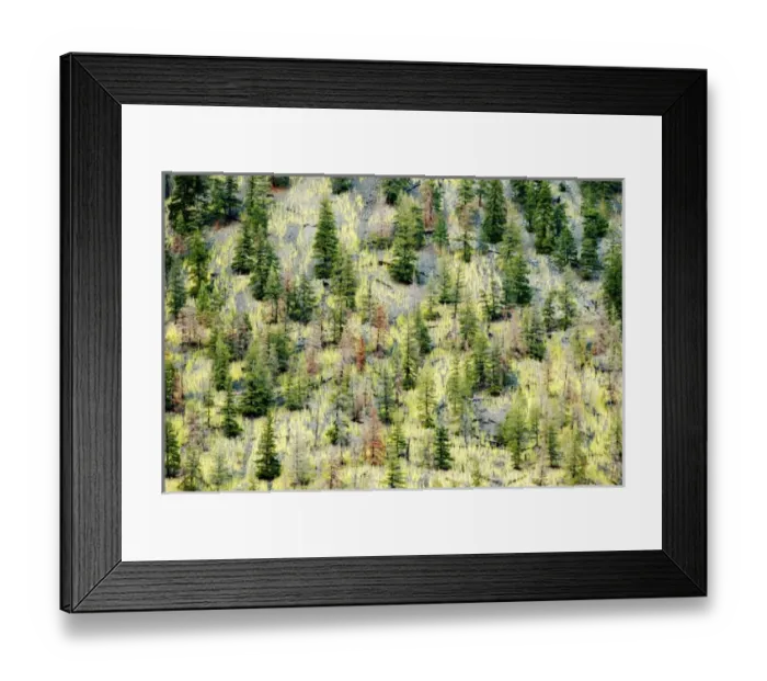 Framed Print : Canada, British Columbia Framed Print : Canada, British Columbia