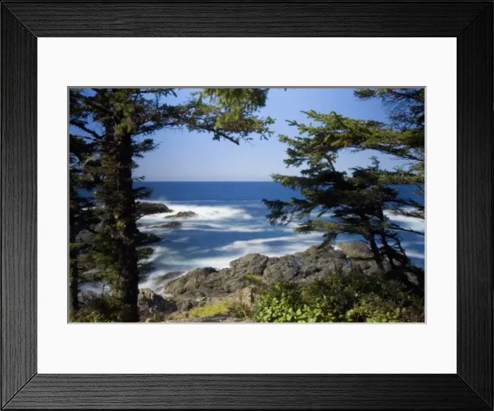 Framed Print : Wild Pacific Trail, Ucluelet, Vancouver Island, British Columbia