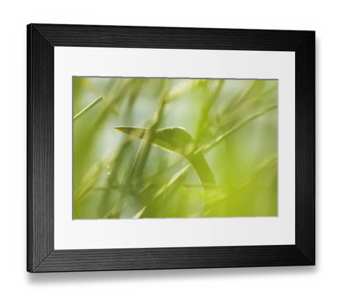 Framed Print : Canada, British Columbia Framed Print : Canada, British Columbia