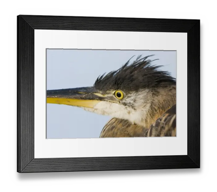 Framed Print : Canada, British Columbia Framed Print : Canada, British Columbia