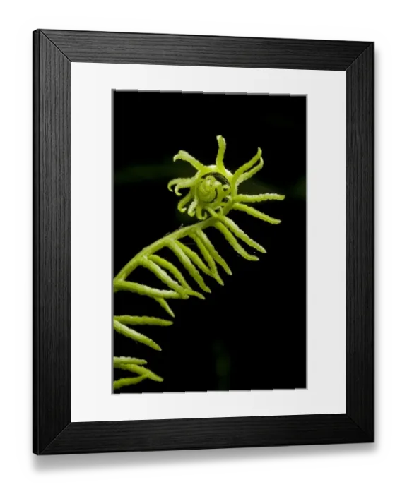 Framed Print : Canada, British Columbia Framed Print : Canada, British Columbia