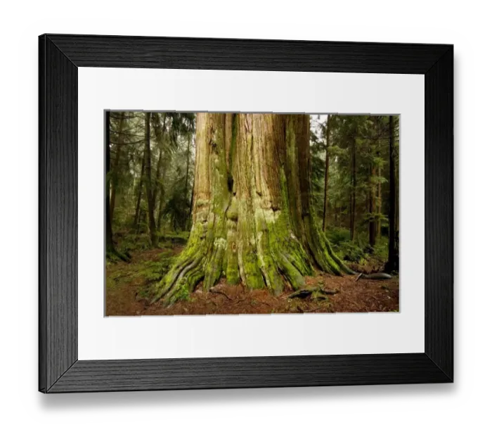 Framed Print : Canada, British Columbia