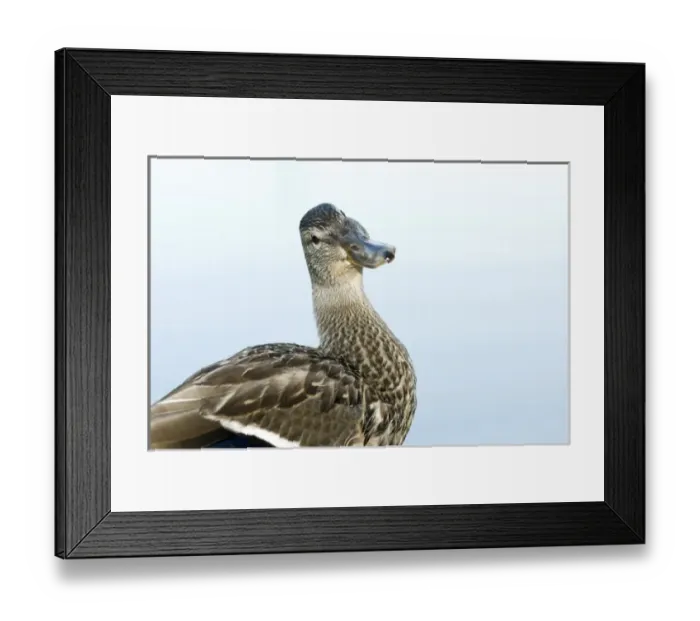 Framed Print : Canada, British Columbia