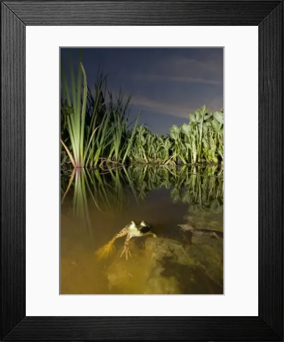 Framed Print : Canada, British Columbia Framed Print : Canada, British Columbia