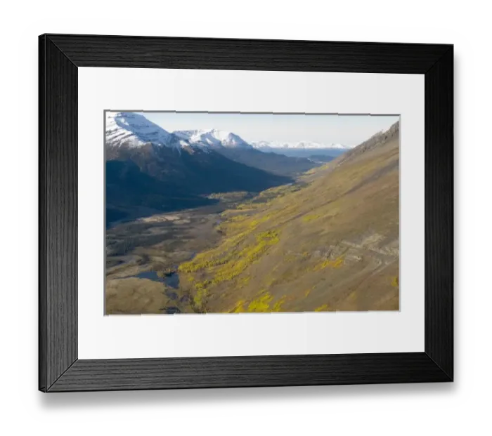 Framed Print : Todagin South Slope Provincial Park, British Columbia Framed Print : Todagin South Slope Provincial Park, British Columbia