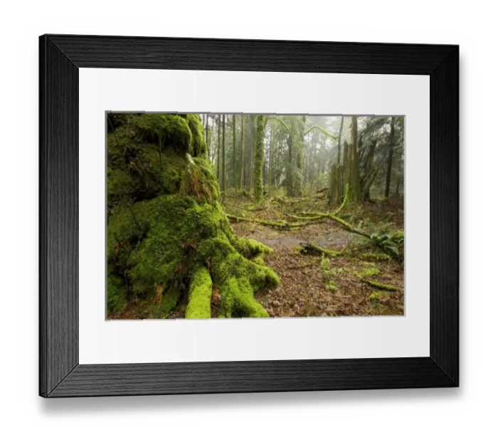 Framed Print : Canada, British Columbia