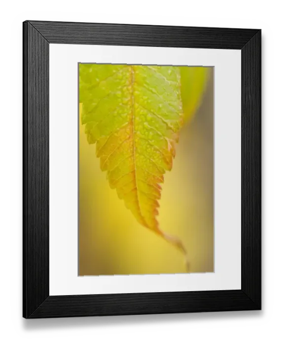 Framed Print : Canada, British Columbia