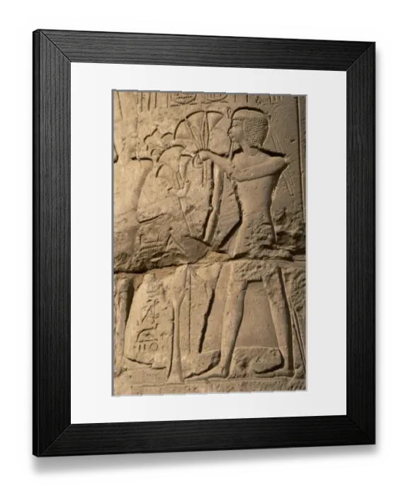 Framed Print : Canada, British Columbia Framed Print : Canada, British Columbia