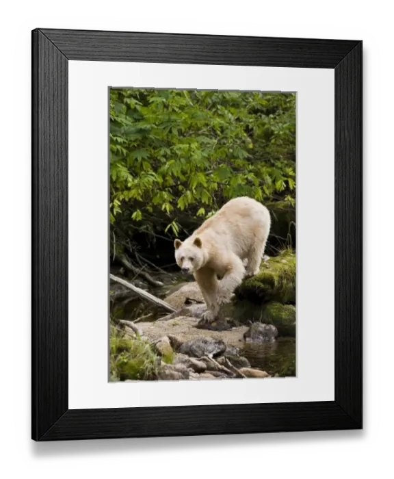 Framed Print : Canada, British Columbia Framed Print : Canada, British Columbia