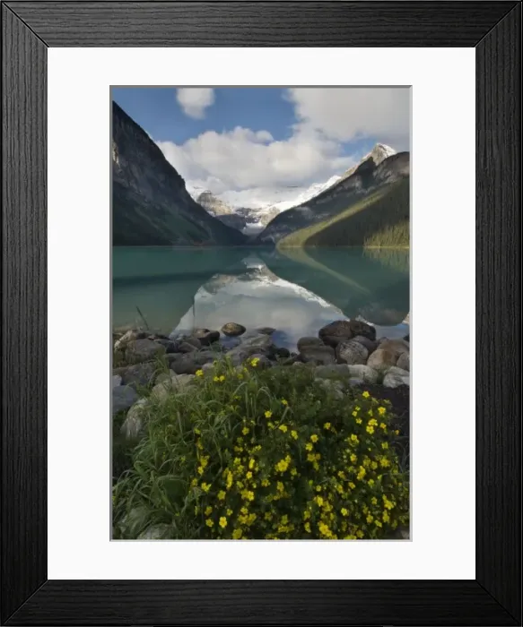 Framed Print : Autumn flowers along the shore of Lake Louise, Banff National Park, Banff, Canada Framed Print : Autumn flowers along the shore of Lake Louise, Banff National Park, Banff, Canada