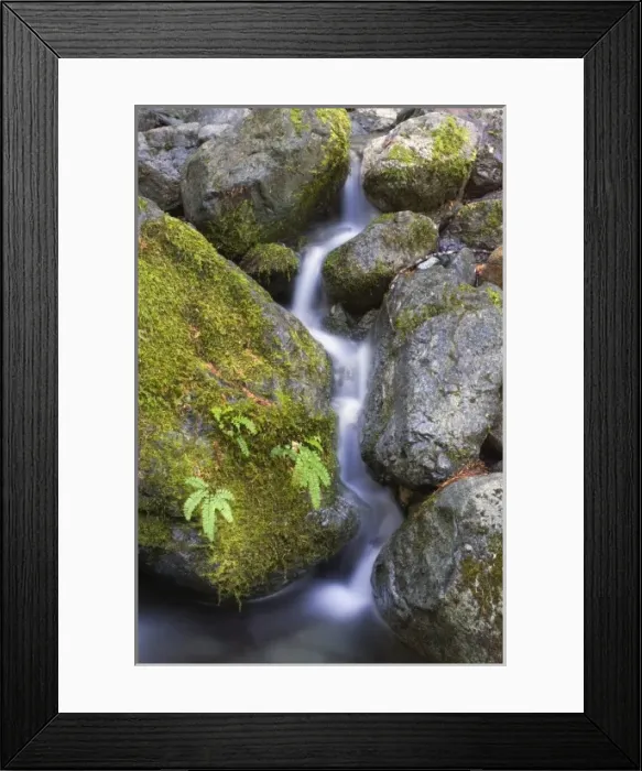 Framed Print : Small cascading waterfall near Upper Myra falls, Strathcona Provincial park, Vancouver Island Framed Print : Small cascading waterfall near Upper Myra falls, Strathcona Provincial park, Vancouver Island