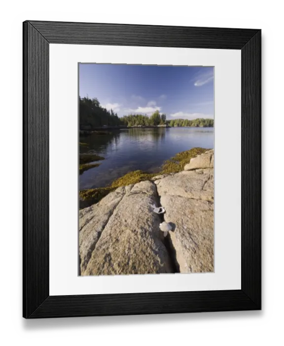 Framed Print : Late Afternoon at Skull Cove, Bramham Island, British Columbia, Canada Framed Print : Late Afternoon at Skull Cove, Bramham Island, British Columbia, Canada