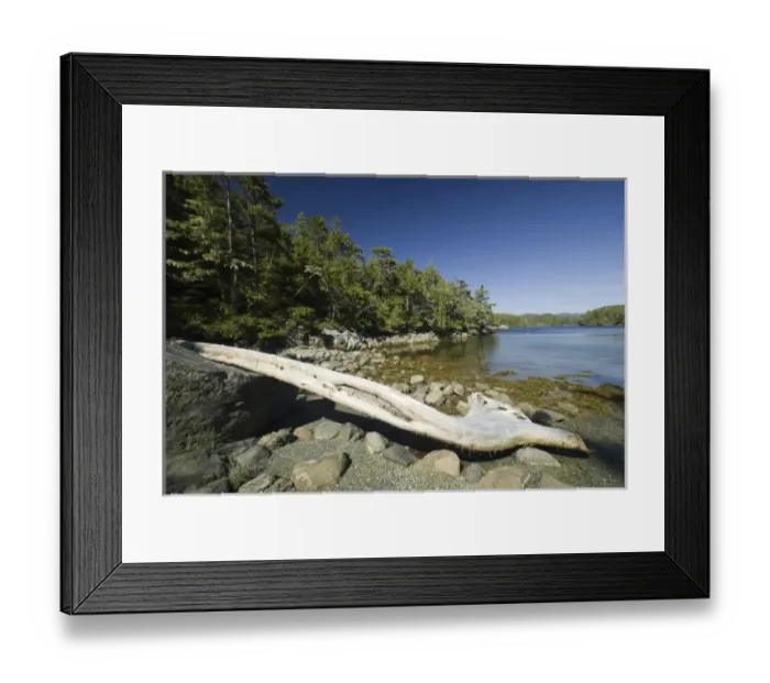 Framed Print : Afternoon at Skull Cove, Bramham Island, British Columbia, Canada Framed Print : Afternoon at Skull Cove, Bramham Island, British Columbia, Canada