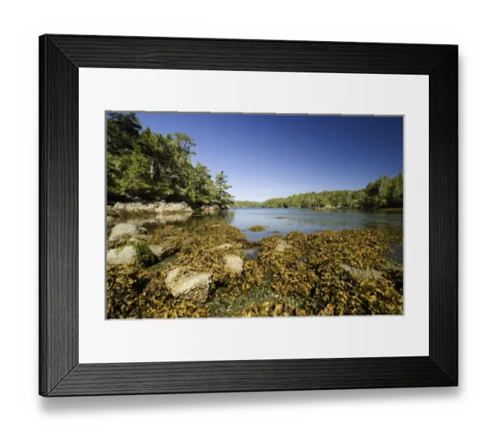Framed Print : Afternoon at Skull Cove, Bramham Island, British Columbia, Canada Framed Print : Afternoon at Skull Cove, Bramham Island, British Columbia, Canada