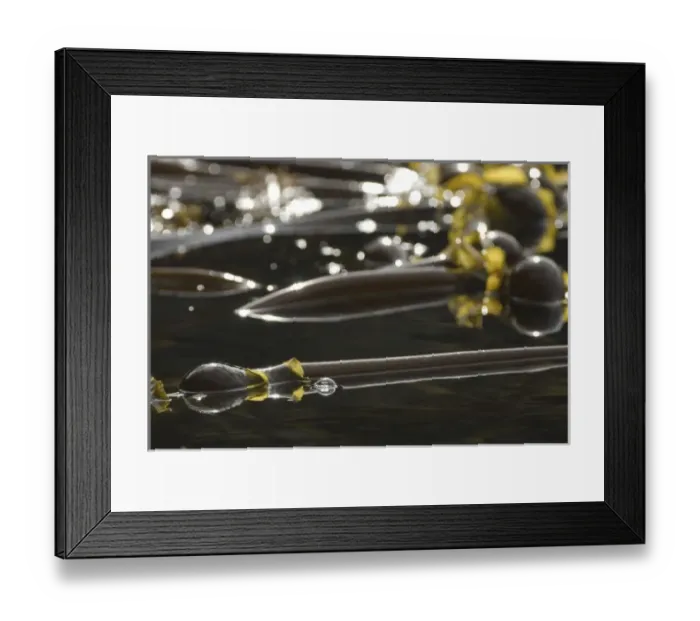 Framed Print : Canada, British Columbia Framed Print : Canada, British Columbia